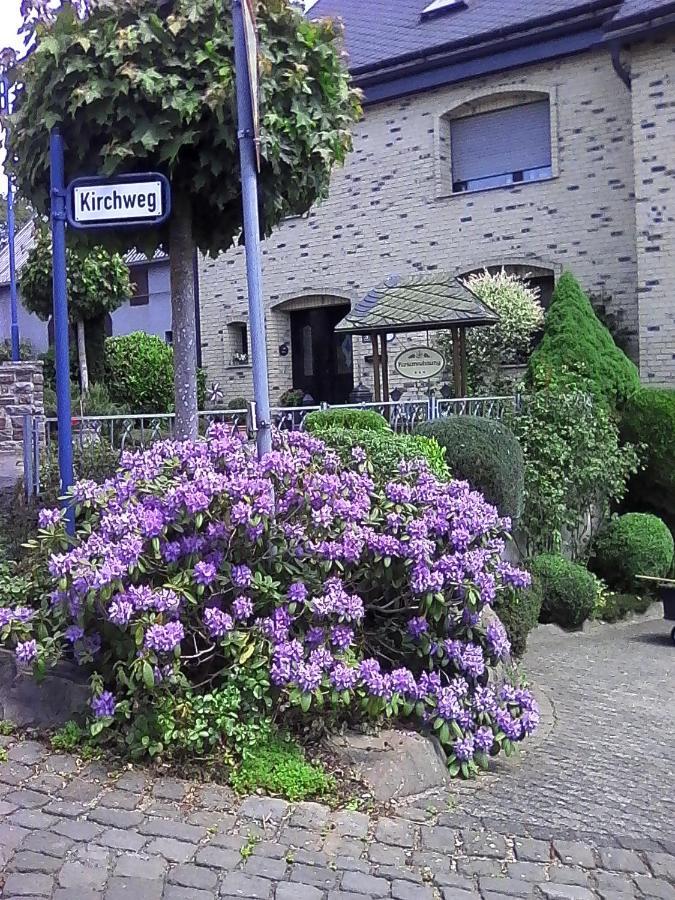 Eifelferienwohnungen "Familie Saxler" Bereborn 外观 照片
